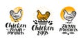 Chicken, hen label set. Poultry farm, egg, meat, broiler, pullet icon or logo. Handwritten lettering vector illustration