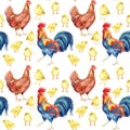 Chicken, hen, rooster. Watercolor painting Royalty Free Stock Photo