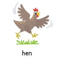 Chicken or hen vector illustration. Farm animals Royalty Free Stock Photo