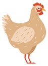 Chicken icon. Cartoon poultry. Farm bird animal