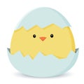 Chicken icon. A sweet yellow Easter chick is sitting waiting for Easter. Vector illustration in simple flat style Royalty Free Stock Photo