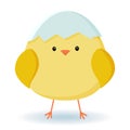 Chicken icon. A sweet yellow Easter chick is sitting waiting for Easter. Vector illustration in simple flat style Royalty Free Stock Photo