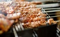 Chicken kabobs grilled on metal skewers Royalty Free Stock Photo