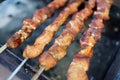 Chicken kabobs grilled on metal skewers