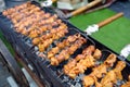 Chicken kabobs grilled on metal skewers Royalty Free Stock Photo