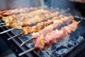 Chicken kabobs grilled on metal skewers Royalty Free Stock Photo