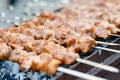 Chicken kabobs grilled on metal skewers outdoors Royalty Free Stock Photo