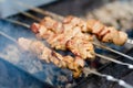 Chicken kabobs grilled on metal skewers outdoors Royalty Free Stock Photo