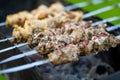 Chicken kabobs grilled on metal skewers outdoors Royalty Free Stock Photo