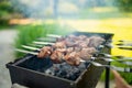 Chicken kabobs grilled on metal skewers outdoors Royalty Free Stock Photo