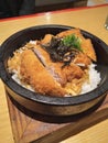 Close up chicken katsu rice bowl served with scrambled egg, mayonnaise sauce and nori in Tokyo Belly Jakarta Indonesia