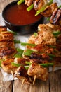 Chicken kebab with green onions and sweet chili sauce close-up.