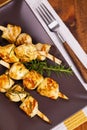 Chicken Kebab or Kabob Royalty Free Stock Photo