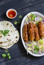 Chicken kebab, salad with tomatoes, onions and olives, homemade tortilla is a healthy and delicious meal Royalty Free Stock Photo