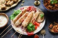 Chicken kebab or shish kebab with roasted vegetables and sauce Royalty Free Stock Photo