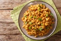 Chicken Keema minced chicken sauteed in onion, tomatoes and flavored with aromatic Indian spices closeup. horizontal top view