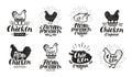 Chicken label set. Food, poultry farm, meat, egg icon or logo. Lettering vector illustration Royalty Free Stock Photo