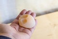Chicken laid an egg without a shell in the film Royalty Free Stock Photo
