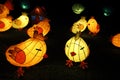 Chicken lanterns for mid autumn festival