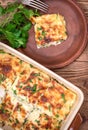 Chicken lasagna and white cheese . Royalty Free Stock Photo