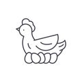 Chicken layer line icon concept. Chicken layer vector linear illustration, symbol, sign
