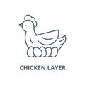 Chicken layer line icon, vector. Chicken layer outline sign, concept symbol, flat illustration