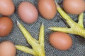 Chicken legs and brown eggs in a nest Royalty Free Stock Photo