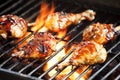 Chicken Legs On The Grill Royalty Free Stock Photo