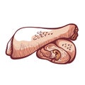 Chicken legs icon, tasty fresh meat for cooking