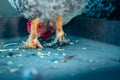 Chicken legs of a live chicken in a feeder close-up. Funny angle as a chicken looks through the paws of the second