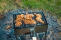 Chicken legs and wings are fried on coals in a brazier in a barbecue grill, marinated chicken is fried on a picnic Royalty Free Stock Photo