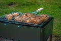 Chicken legs and wings are fried on coals in a brazier in a barbecue grill, marinated chicken is fried on a picnic Royalty Free Stock Photo