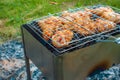 Chicken legs and wings are fried on coals in a brazier in a barbecue grill, marinated chicken is fried on a picnic Royalty Free Stock Photo