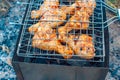 Chicken legs and wings are fried on coals in a brazier in a barbecue grill, marinated chicken is fried on a picnic Royalty Free Stock Photo