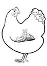 chicken, line illustration, idolated Royalty Free Stock Photo