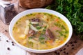 Chicken liver noodle soup