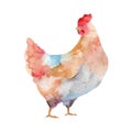 Chicken looking back Watercolor illustration. Farm Domestic Chicken isolated on white. Royalty Free Stock Photo
