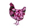 Chicken made of pink petunia flowers isolated on white background Royalty Free Stock Photo