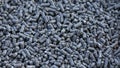 Chicken manure pellets or waste, organic fertilizer as background Royalty Free Stock Photo