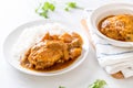 Chicken Massaman Curry Paste with Rice Royalty Free Stock Photo