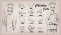 Chicken meat carcass cut parts chops info graphics scheme sign p