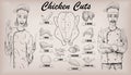 Chicken meat carcass cut parts chops info graphics scheme sign p