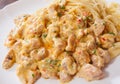 Chicken meat in a creamy sauce with spaghetti pasta Royalty Free Stock Photo