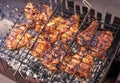 Chicken meat, roasted on the grill. Royalty Free Stock Photo