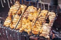 Chicken meat, roasted on the grill. Royalty Free Stock Photo