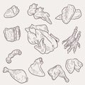 Chicken meat set vector, doodle art uncooked chicken