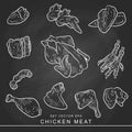 Chicken meat set vector, doodle art uncooked chicken