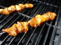 Chicken meat on a skewer on a barbecue grill Royalty Free Stock Photo