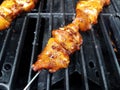 Chicken meat on a skewer on a barbecue grill Royalty Free Stock Photo