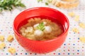 Chicken Meatball Soup with Noodle in Red Bowl Royalty Free Stock Photo